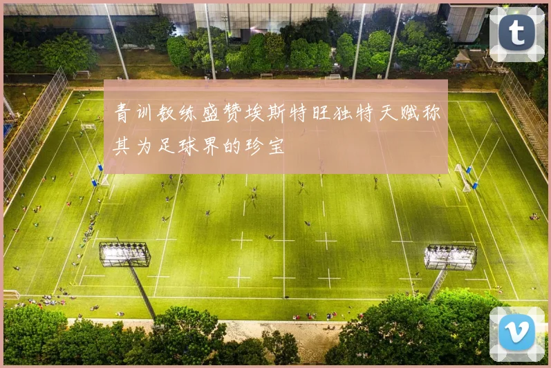青训教练盛赞埃斯特旺独特天赋称其为足球界的珍宝